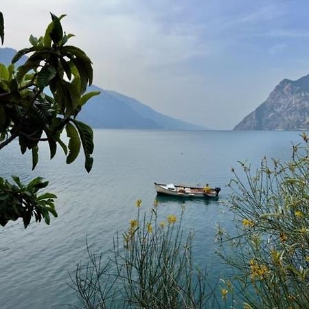 Alloggio Turistico Molu Apartamento Gavazzo Nuova Exterior foto