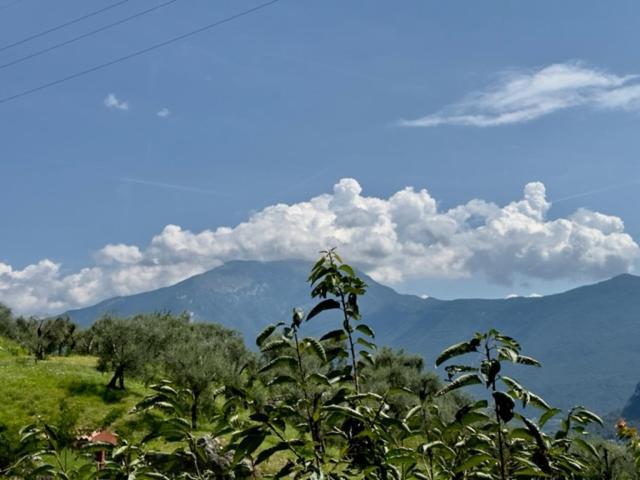 Alloggio Turistico Molu Apartamento Gavazzo Nuova Exterior foto